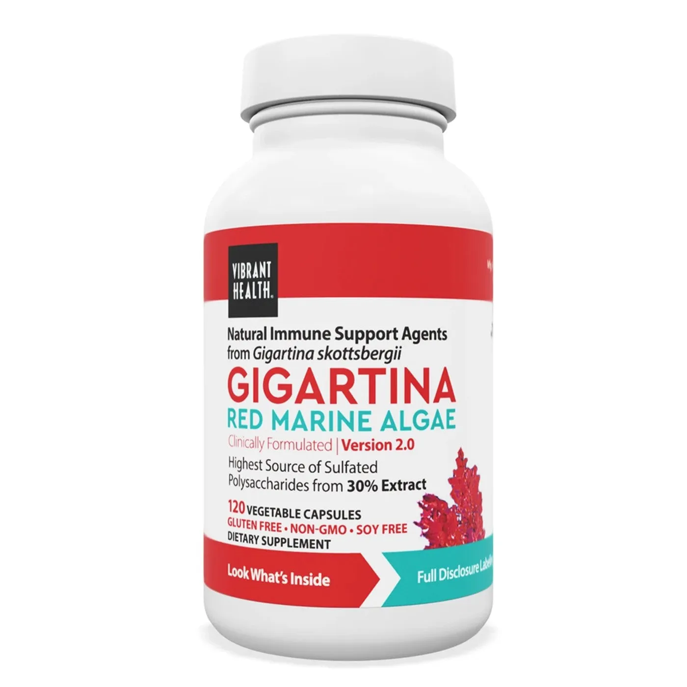 Gigartina Red Marine Algae