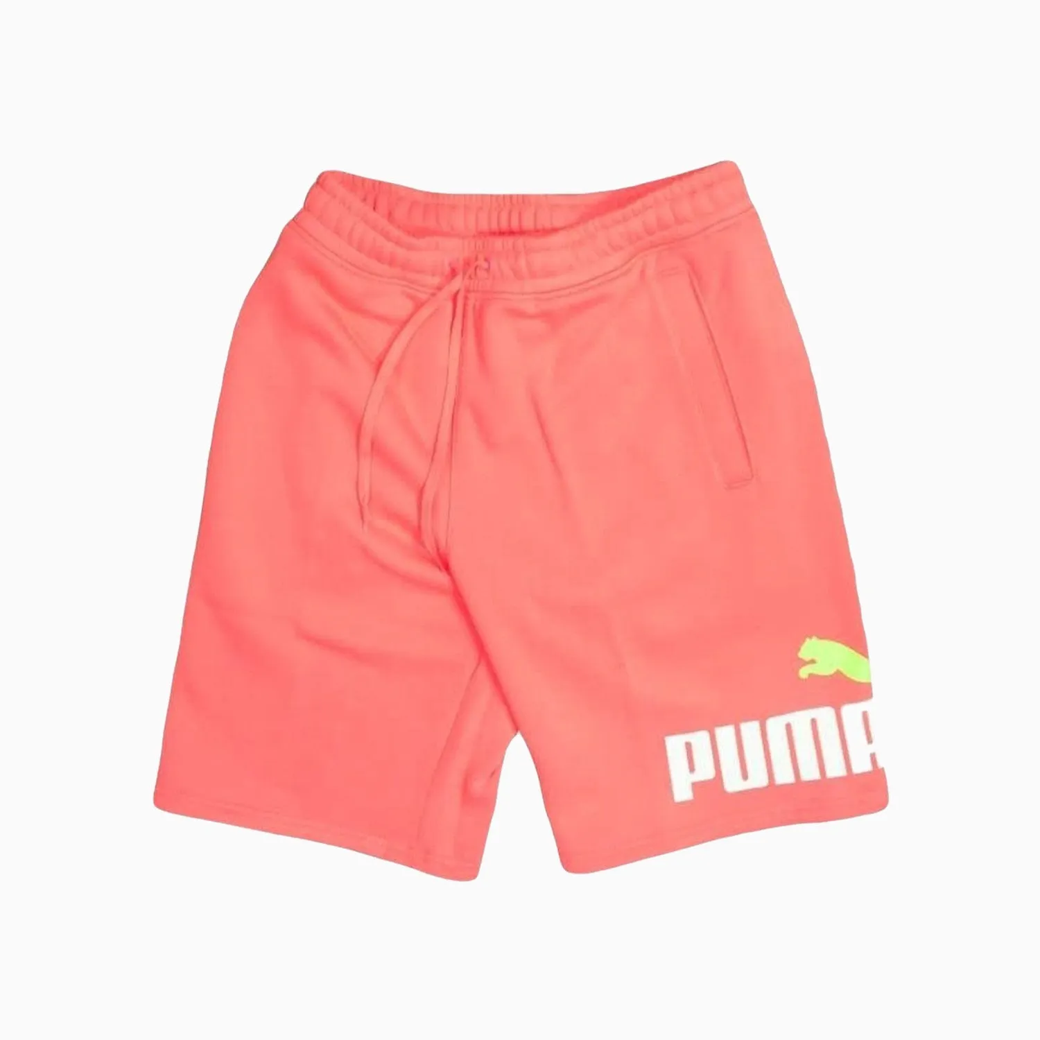 Men's Big Fleece Logo Short